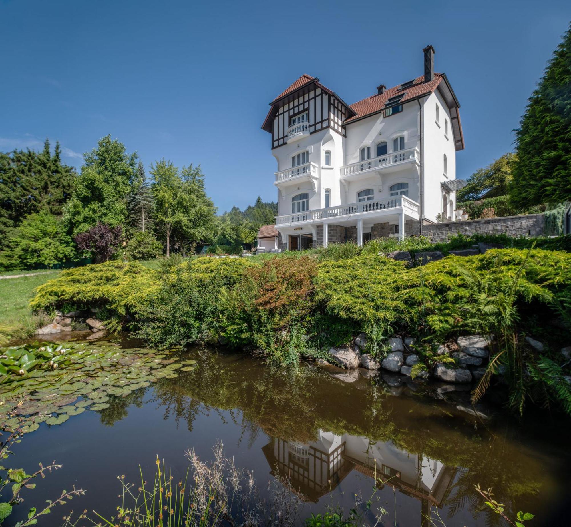 La Villa Concorde Gérardmer Buitenkant foto